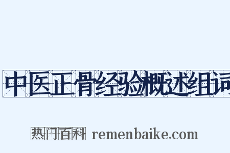 中医正骨经验概述组词是什么意思的图片